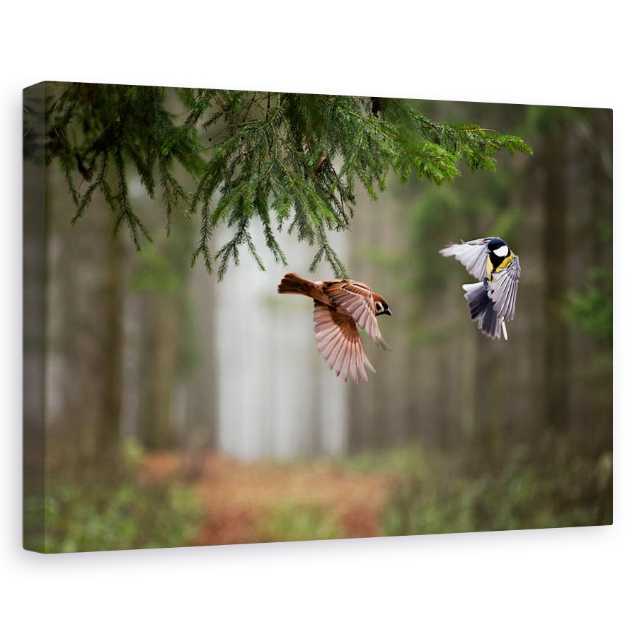 Tablou canvas - Doua, Pasari, Bokeh, Salbatic, Natura, 20 x 30 cm