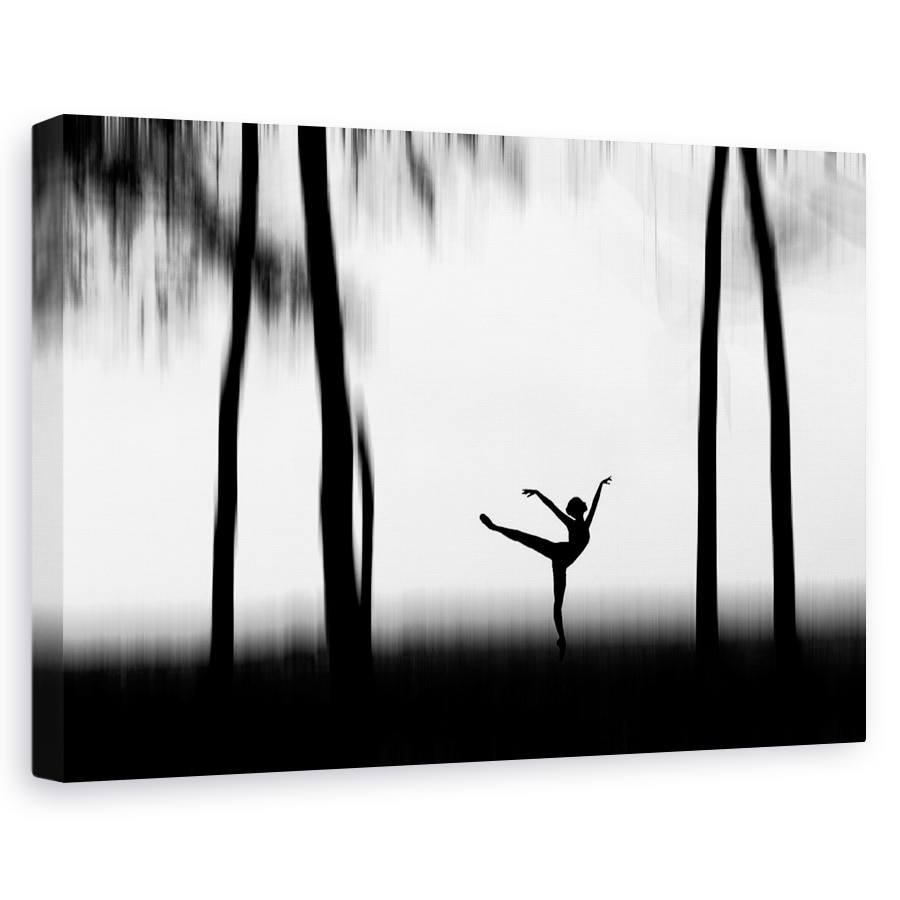 Tablou canvas - Dansand, Silueta, Dansatoare, 20 x 30 cm