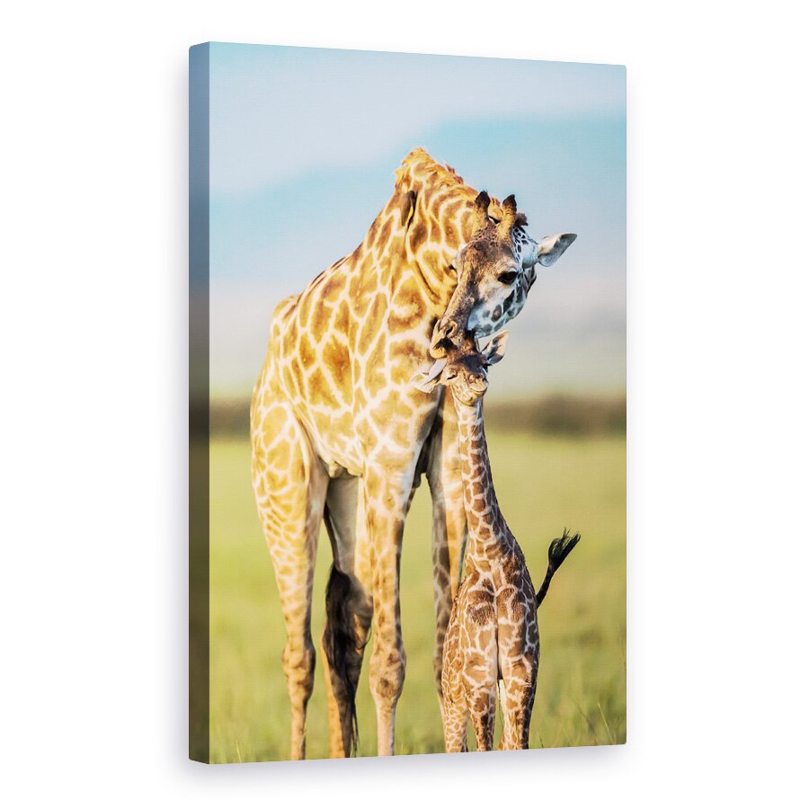 Tablou canvas - Dragostea Mamei, Dragut, Girafa, Mama, Copil, 20 x 30 cm