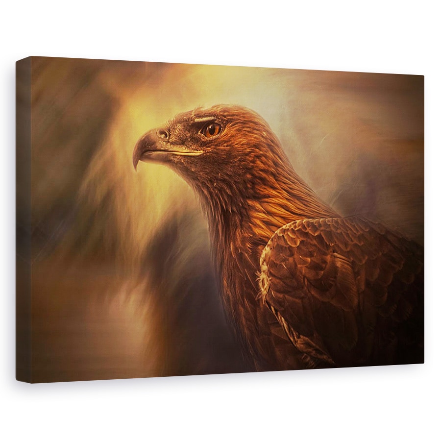 Tablou canvas - Instinct, Pasare, Animal, Vultur, Animale, 20 x 30 cm