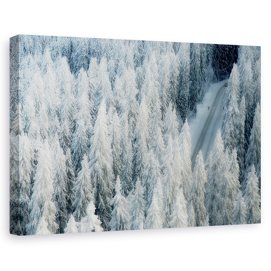 Tablou canvas - Intalnire, Peisaj, Copac, Pin, Brad, Inghet, 40 x 60 cm