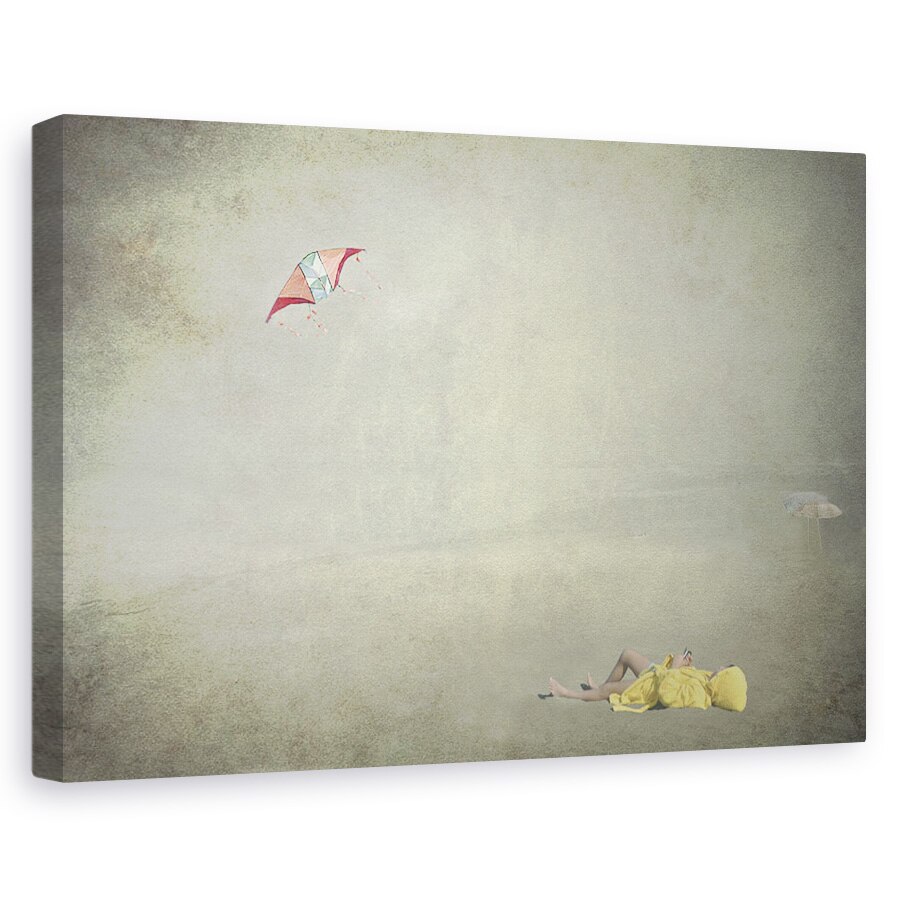 Tablou canvas - Gandurile Zboara, Plaja, Zmeu, Mare, 20 x 30 cm