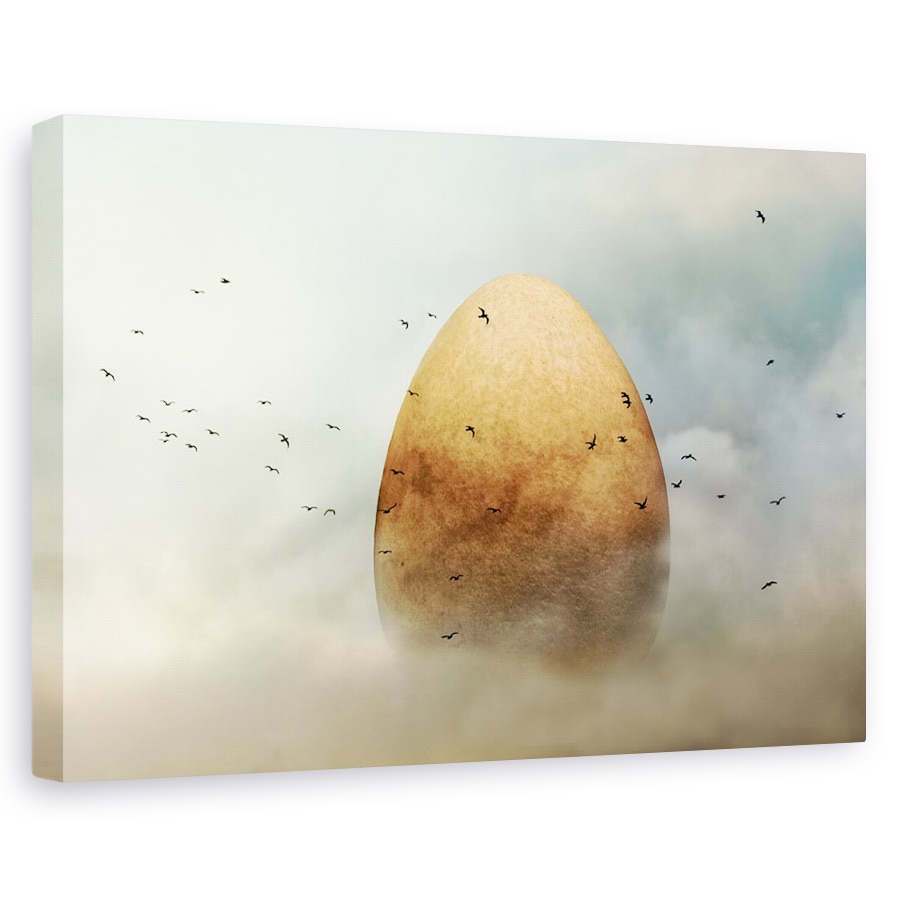 Tablou canvas - Geneza, Ou, Nori, Cer, Pasare, 40 x 60 cm