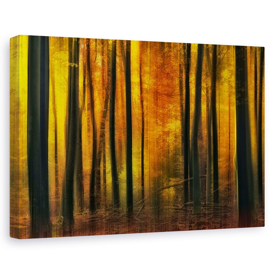 Tablou canvas - Venirea Toamnei, Padure, Peisaj, Frunza, 20 x 30 cm