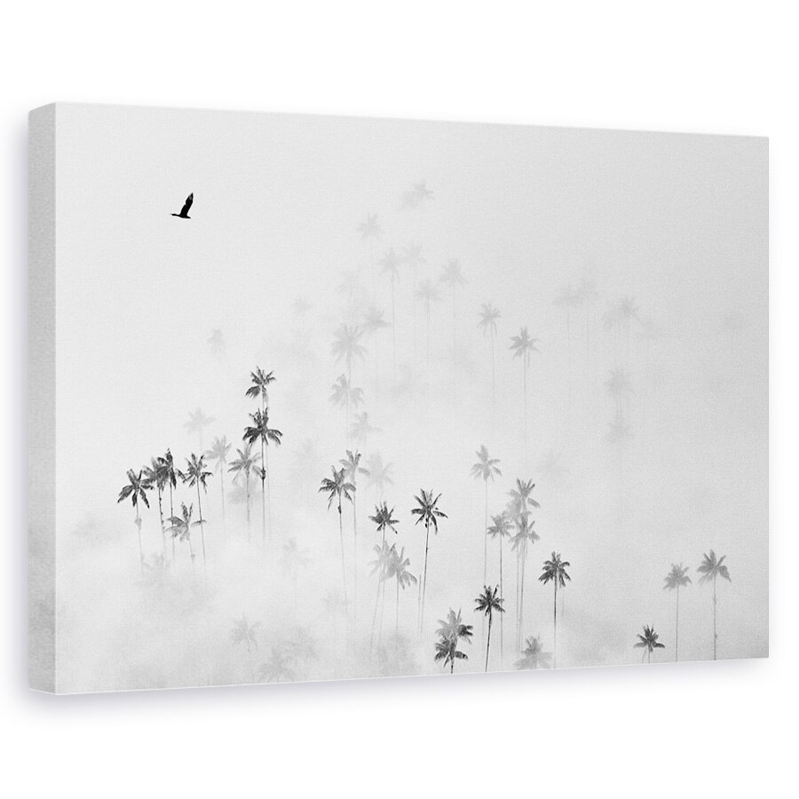 Tablou canvas - Valea Cocora, Palmieri, Copaci, Pasare, Speranta, 40 x 60 cm