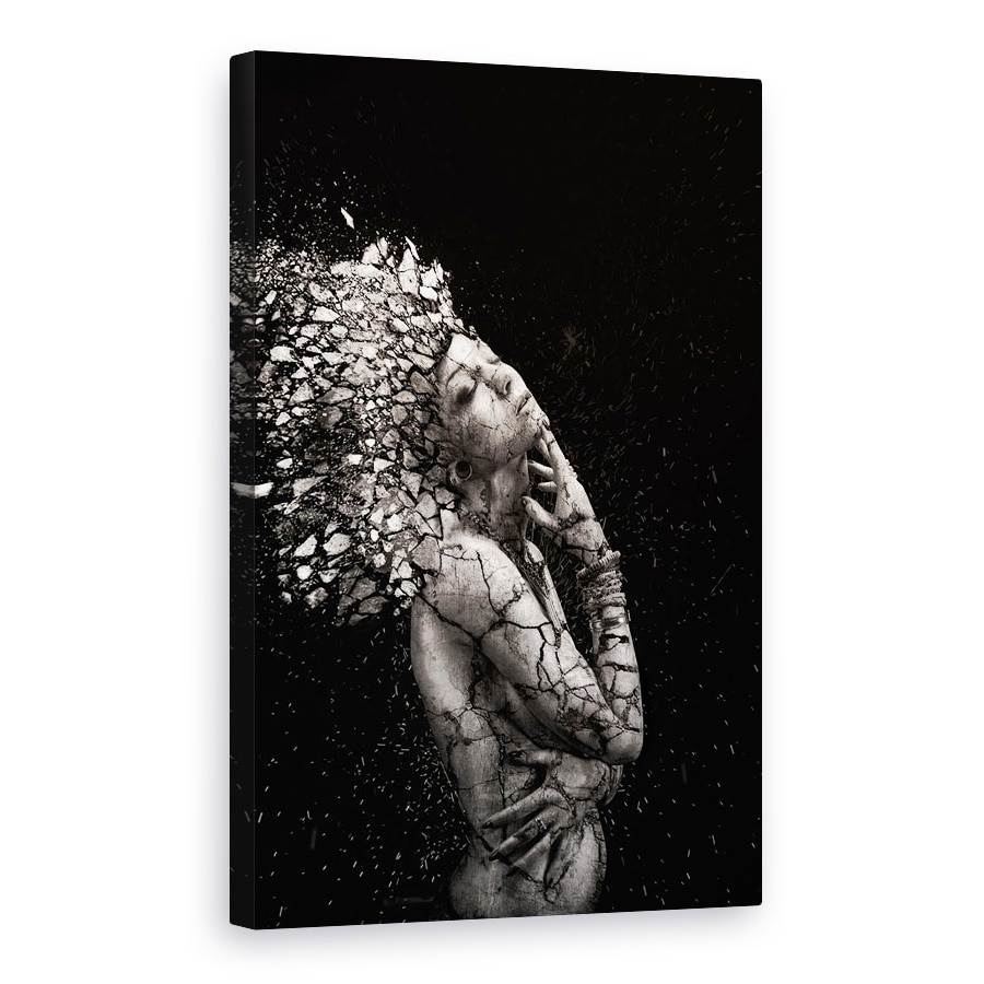 Tablou canvas - Indianca Fragila, Stanca, Crapa, Explozie, Spulbera, 40 x 60 cm