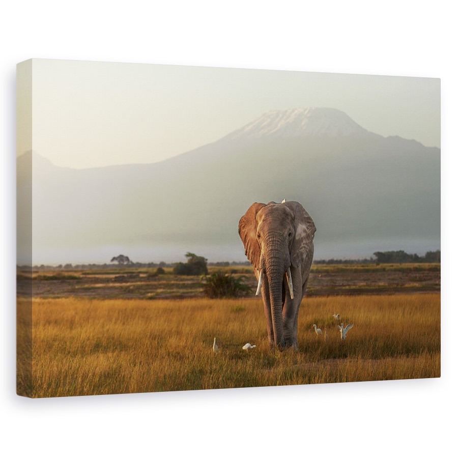 Tablou canvas - Sub Cerul Africii, Elefant, Pasari, Munte, Salbatic, 40 x 60 cm