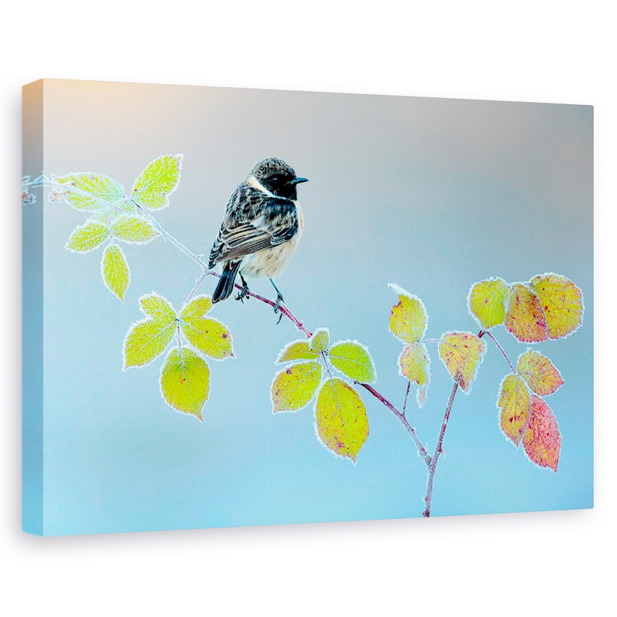 Tablou canvas - Zi De Iarna, Pasare, Frunza, Rece, 20 x 30 cm