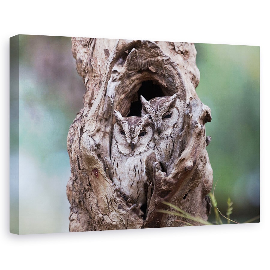 Tablou canvas - Ascuns, Bufnita, Pasare, Copac, 40 x 60 cm