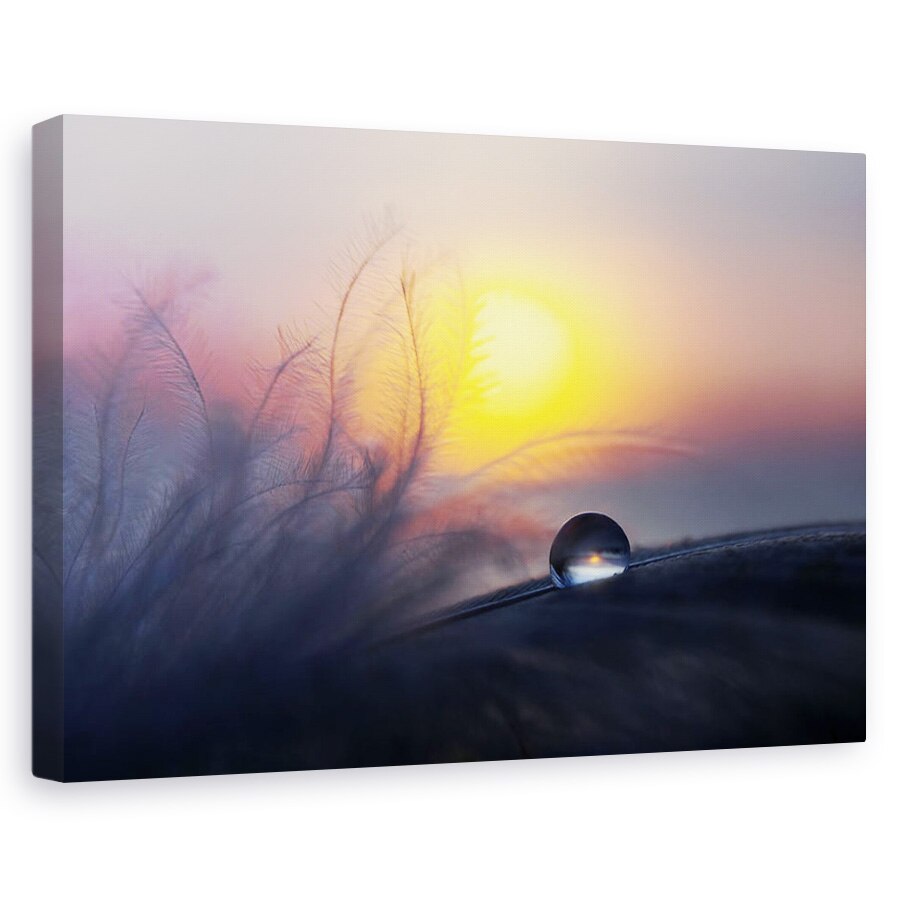 Tablou canvas - Dimineata, Picatura, Macro, 20 x 30 cm