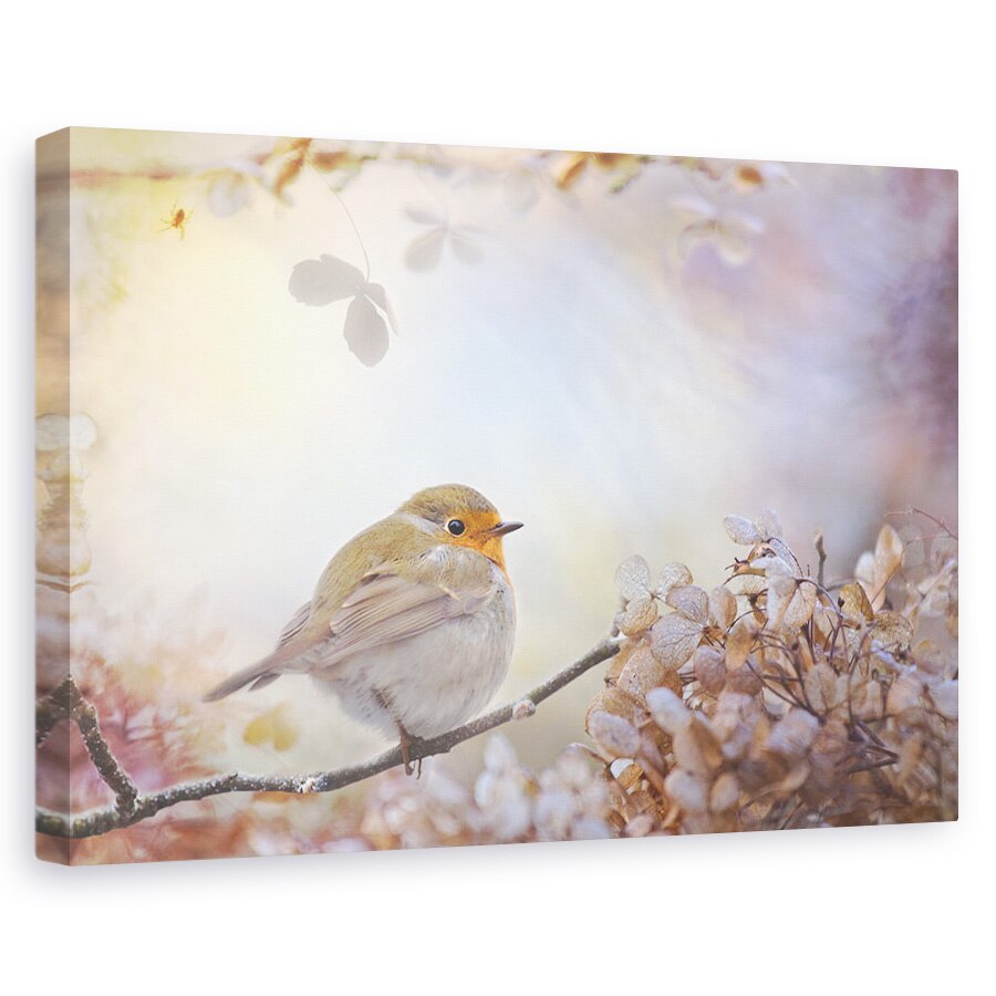 Tablou canvas - Robin In Vise, Zana, Basm, 40 x 60 cm