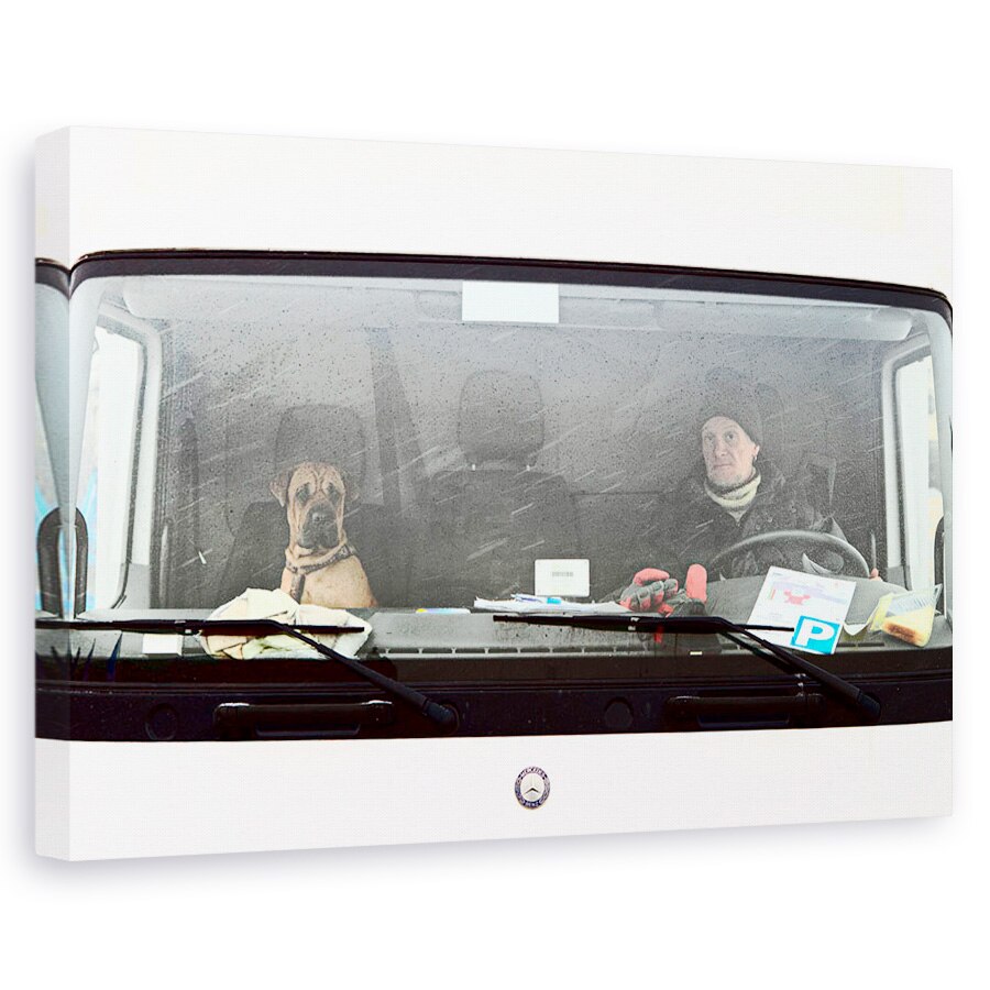 Tablou canvas - Soferul Si Navigatorul Sau, Viena, Austria, Sofer, Caine, 40 x 60 cm