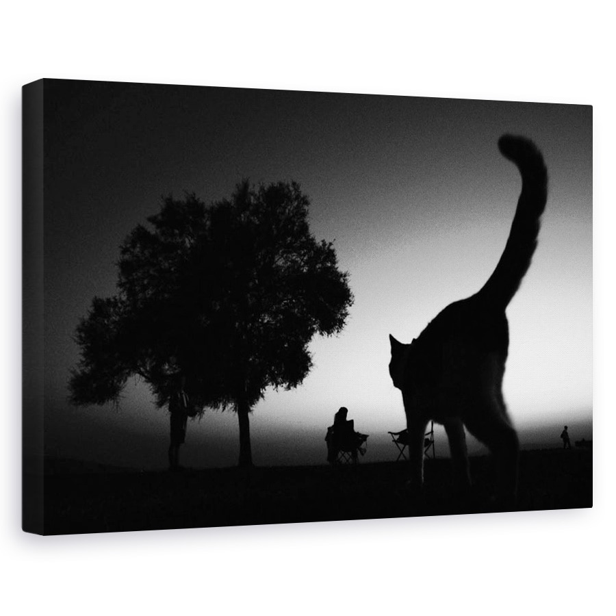 Tablou canvas - Sahildeki Kedi, Pisica, Animal, Grafic, Vinieta, Pet, 20 x 30 cm