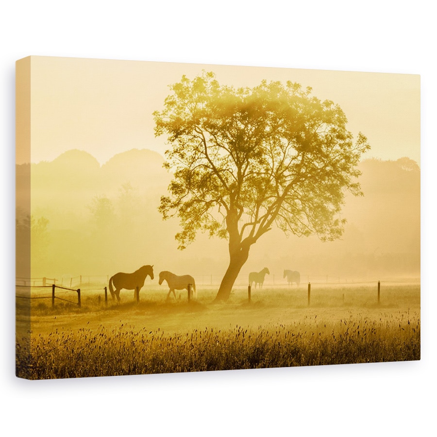 Tablou canvas - Caii De Aur, Peisaj, Animal, Gard, 20 x 30 cm