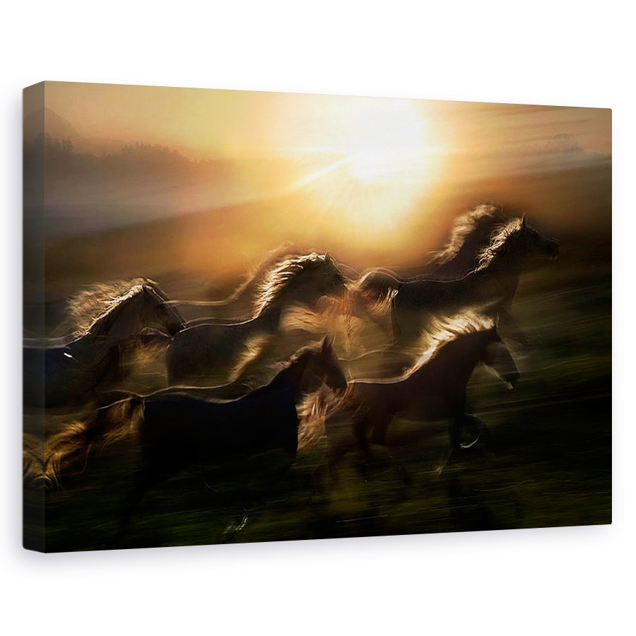 Tablou canvas - Galop De Dimineata, Soare, Cai, Animale, 40 x 60 cm