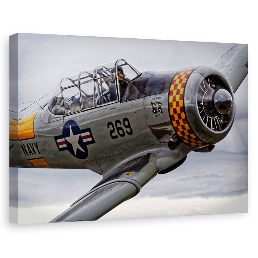 Tablou canvas - Rasturnare, Avion, Luptator, Aviatie, Pilot, Persoana, 80x120 cm