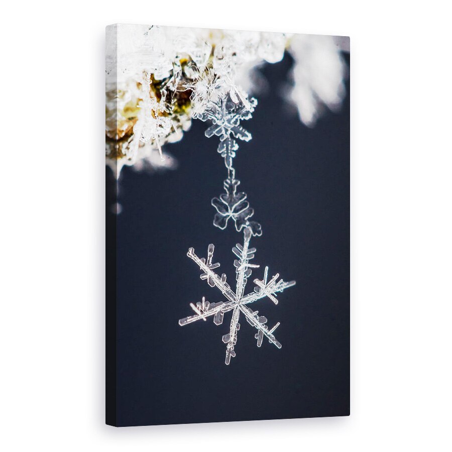 Tablou canvas - Pandantiv, Macro, Gheata, Inghet, Zapada, Iarna, 20 x 30 cm
