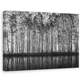 Tablou canvas - Peisaj Pointilismului, Peisaj, Copac, Padure, Padure, Alb-Negru, 20 x 30 cm Tablou canvas - Peisaj Pointilismului, Peisaj, Copac, Padure, Padure, Alb-Negru, 20 x 30 cm