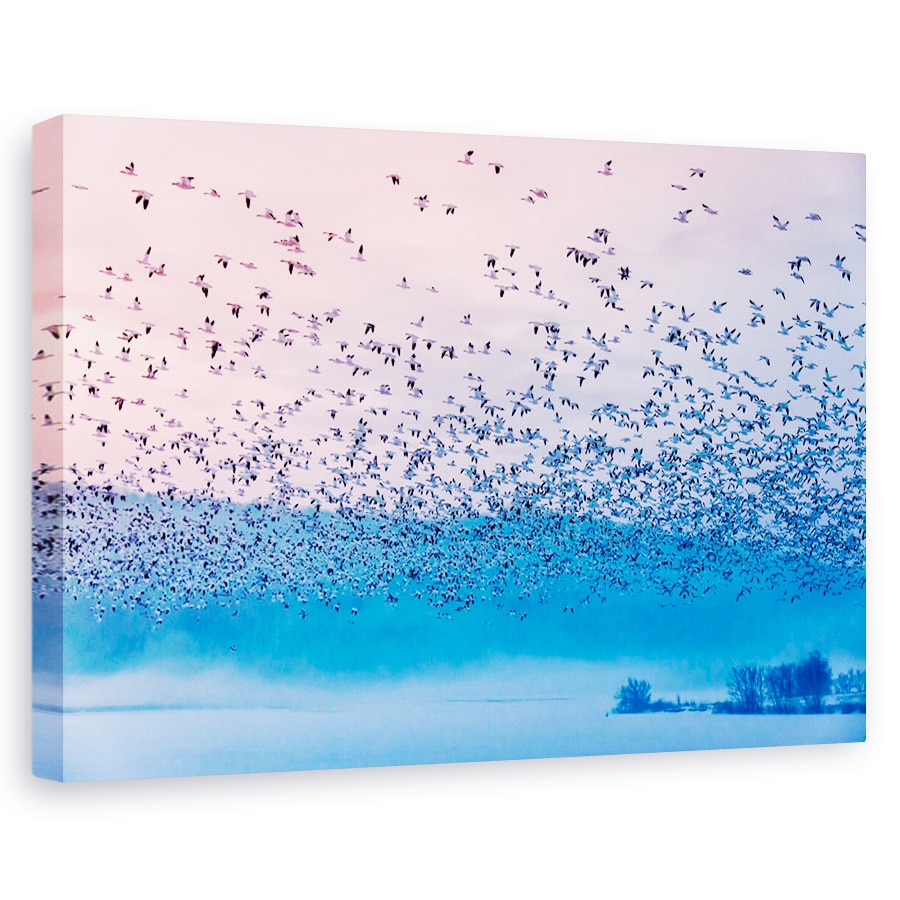Tablou canvas - Zburand In Ceata Diminetii, Salbatic, Natura, Animal, 20 x 30 cm