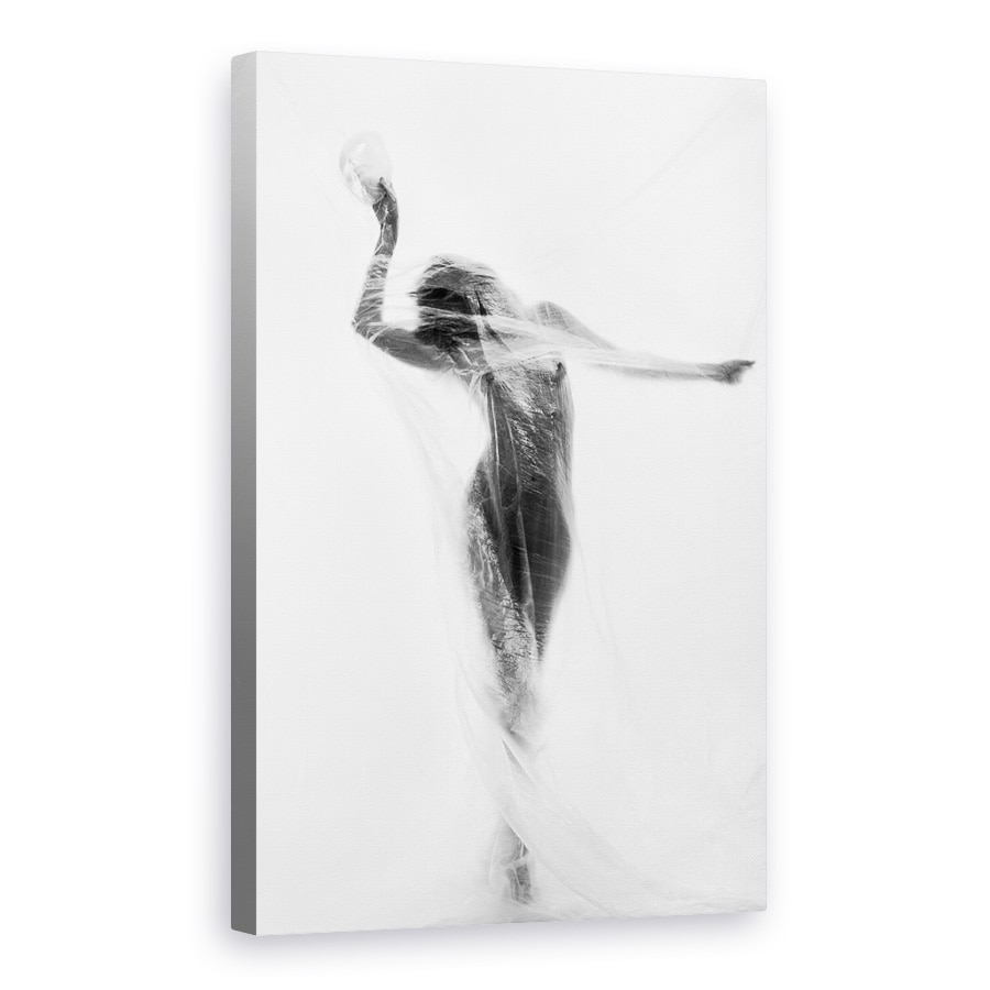 Tablou canvas - Dansul Mastii, Nud, Alb-Negru, Plastic, Ascunde, Ascuns, 20 x 30 cm
