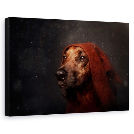 Tablou Canvas Paznicul De Noapte Portret Animal Caini Creativ Caine 80x120 Cm Emag Ro