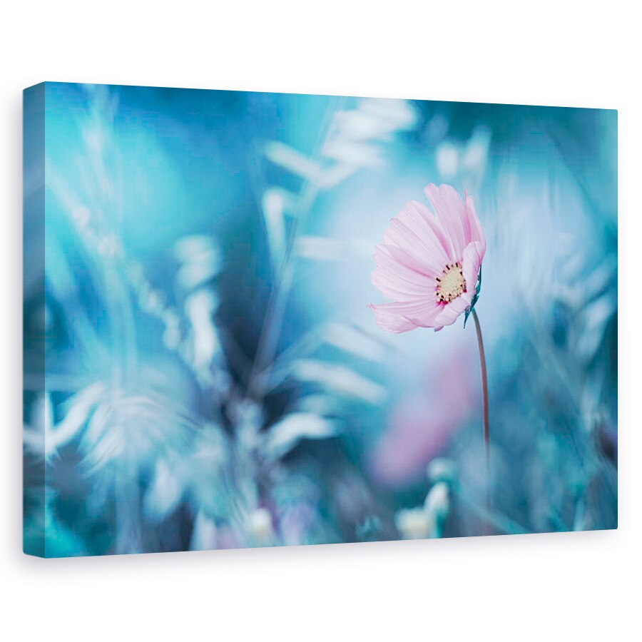 Tablou canvas - O Plimbare In Dreamland, Floare, Macro, Roz, 20 x 30 cm