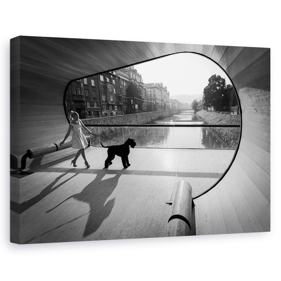 Tablou canvas - Moment Pe Pod, Caine, Schnauzer, Pod, Pet, Mers Pe Jos, 20 x 30 cm