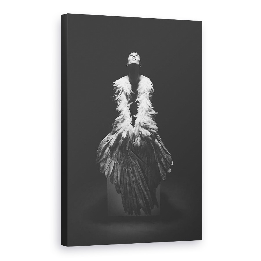 Tablou canvas - Ingeras, Alb-Negru, Portret, Om, Pana, Pasare, 20 x 30 cm