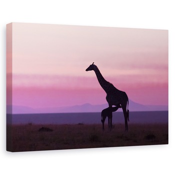 Tablou canvas - Buna Dimineata Masai Mara, Girafa, Masai, Mara, Salbatic, Kenya, 20 x 30 cm Tablou canvas - Buna Dimineata Masai Mara, Girafa, Masai, Mara, Salbatic, Kenya, 20 x 30 cm