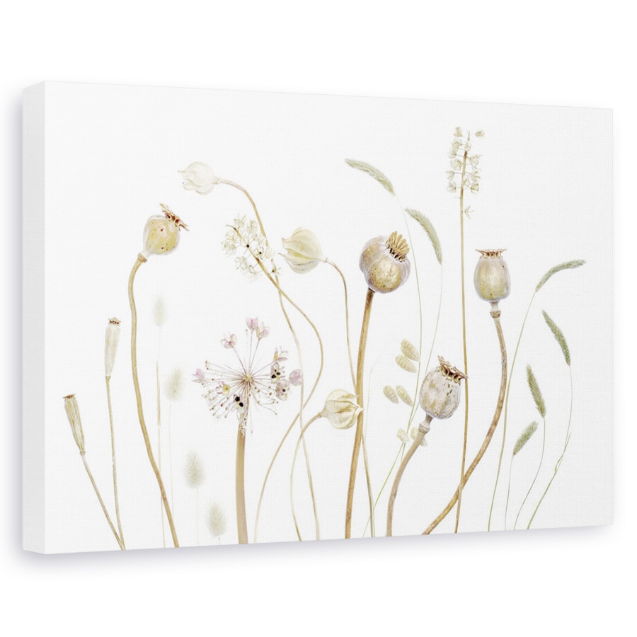 Tablou canvas - Pods, Maci, Pods, Seminte, Toamna, Seminte, 20 x 30 cm