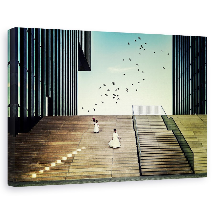 Tablou canvas - Liber Ca O Pasare, Scari, Paris, Franta, Aparare, Pasari, 40 x 60 cm