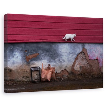 Tablou canvas - Pisica Ce Mergea Singura, In Fiecare Zi, Pisica, Strada, Rosu, Perete, 40 x 60 cm Tablou canvas - Pisica Ce Mergea Singura, In Fiecare Zi, Pisica, Strada, Rosu, Perete, 40 x 60 cm