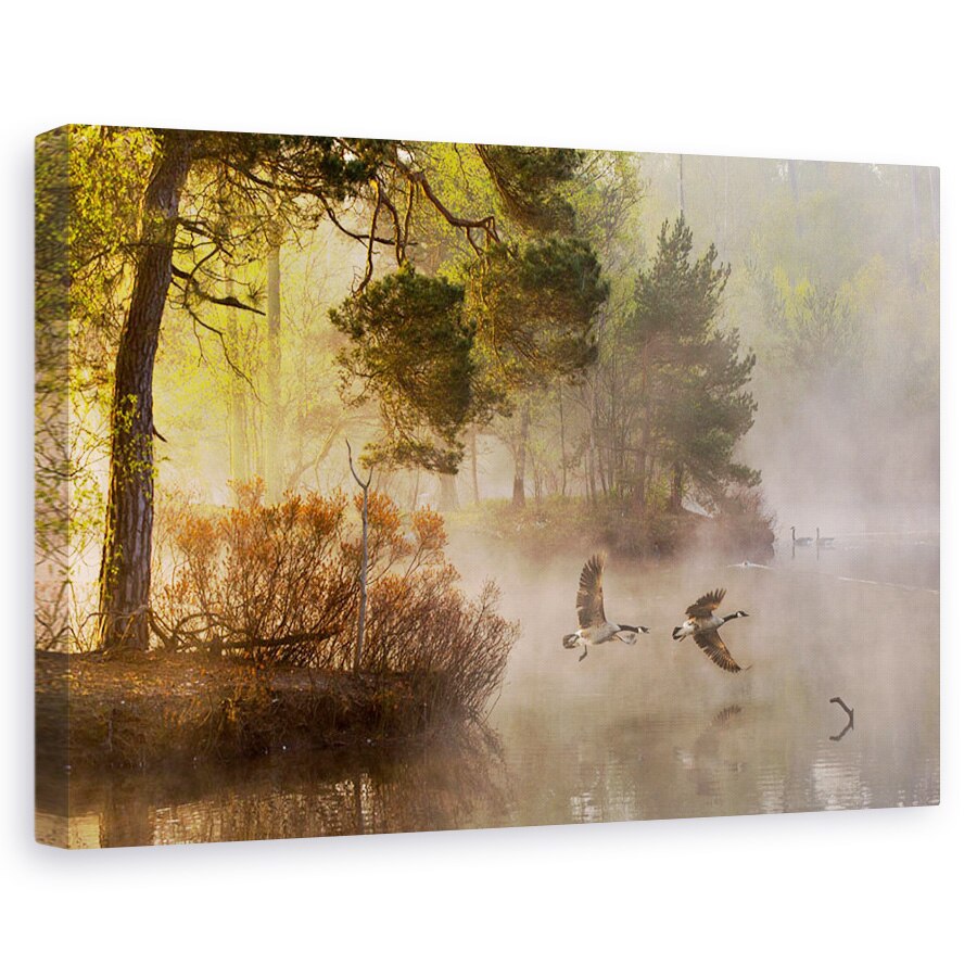 Tablou canvas - Lupta Cu Gasca, Gasca, Fens, Gaste, Gasca, Zbor, 40 x 60 cm