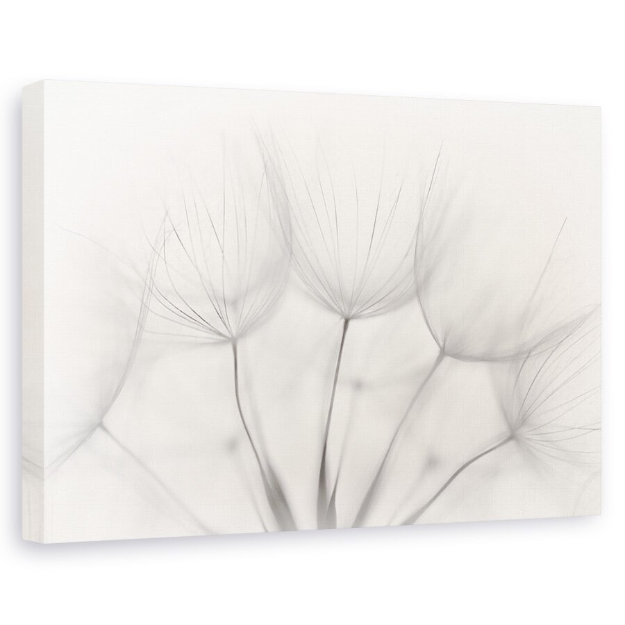 Tablou canvas - Punct, Smoc Pufos, Punct, Papadie, Floare, 40 x 60 cm