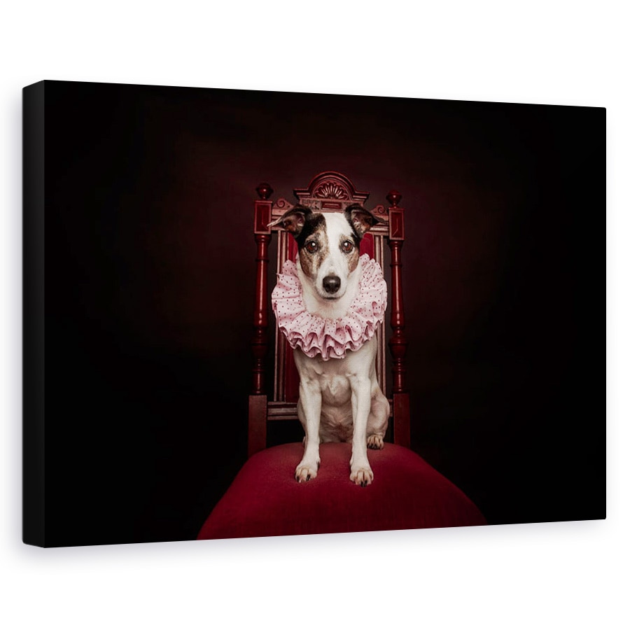 Tablou canvas - Regina De Gheata, Caini, Animale, Caine, Medieval, Rosu, 20 x 30 cm