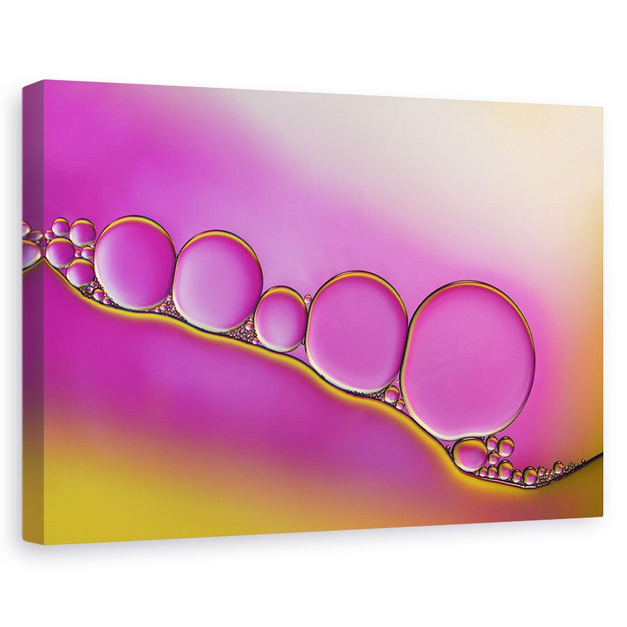 Tablou canvas - Bujori Dragalasi, Macro, Abstract, Apa, Ulei, Picatura, 80x120 cm