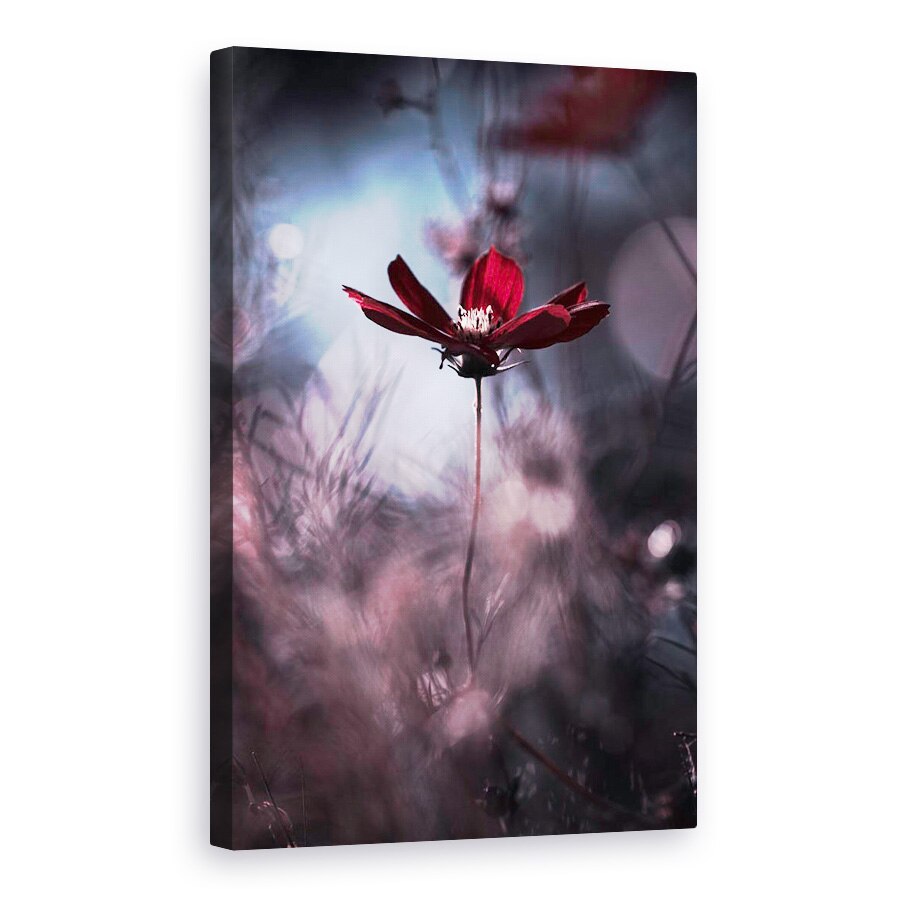 Tablou canvas - Tenue De Soira, Floare, Macro, Rosu, Bokeh, Delicata, 20 x 30 cm
