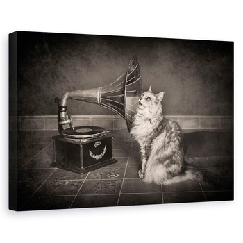 Tablou canvas - Shangri-La, Fonograf, Pisica, Vintage, Inregistrare, Muzica, 40 x 60 cm Tablou canvas - Shangri-La, Fonograf, Pisica, Vintage, Inregistrare, Muzica, 40 x 60 cm