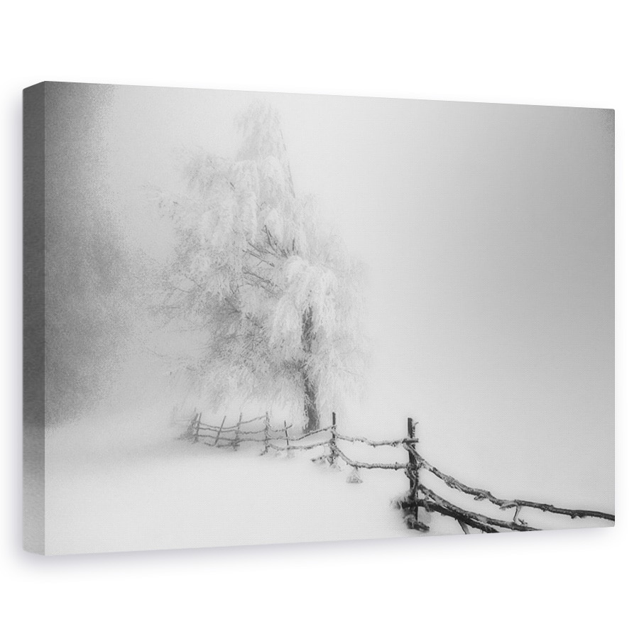 Tablou canvas - Prins, Peisaj, Ceata, Copac, Gard, 20 x 30 cm