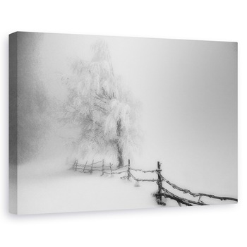 Tablou canvas - Prins, Peisaj, Ceata, Copac, Gard, 80x120 cm Tablou canvas - Prins, Peisaj, Ceata, Copac, Gard, 80x120 cm