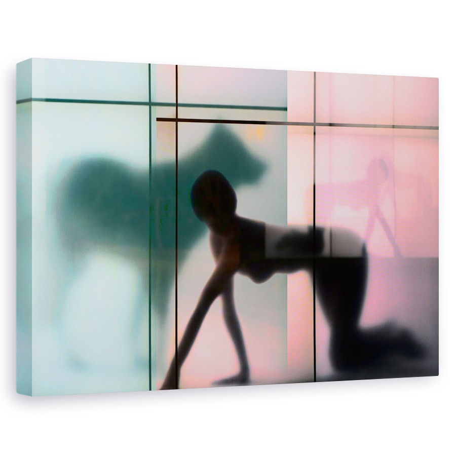 Tablou canvas - Limbajul Corpului 23, Femeie, Femeie, Femeie, Fata, Dezbracat, 40 x 60 cm