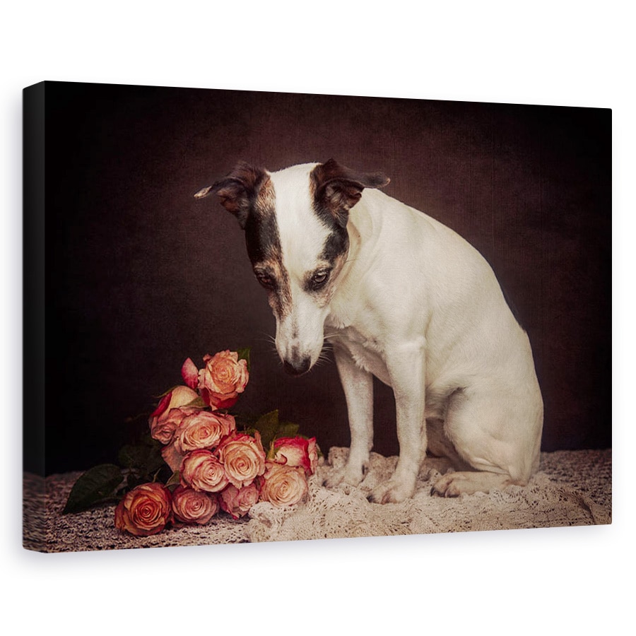 Tablou canvas - Pe Masura Ce Trece Timpul, Caini, Studio, Animale, Trandafiri, 20 x 30 cm