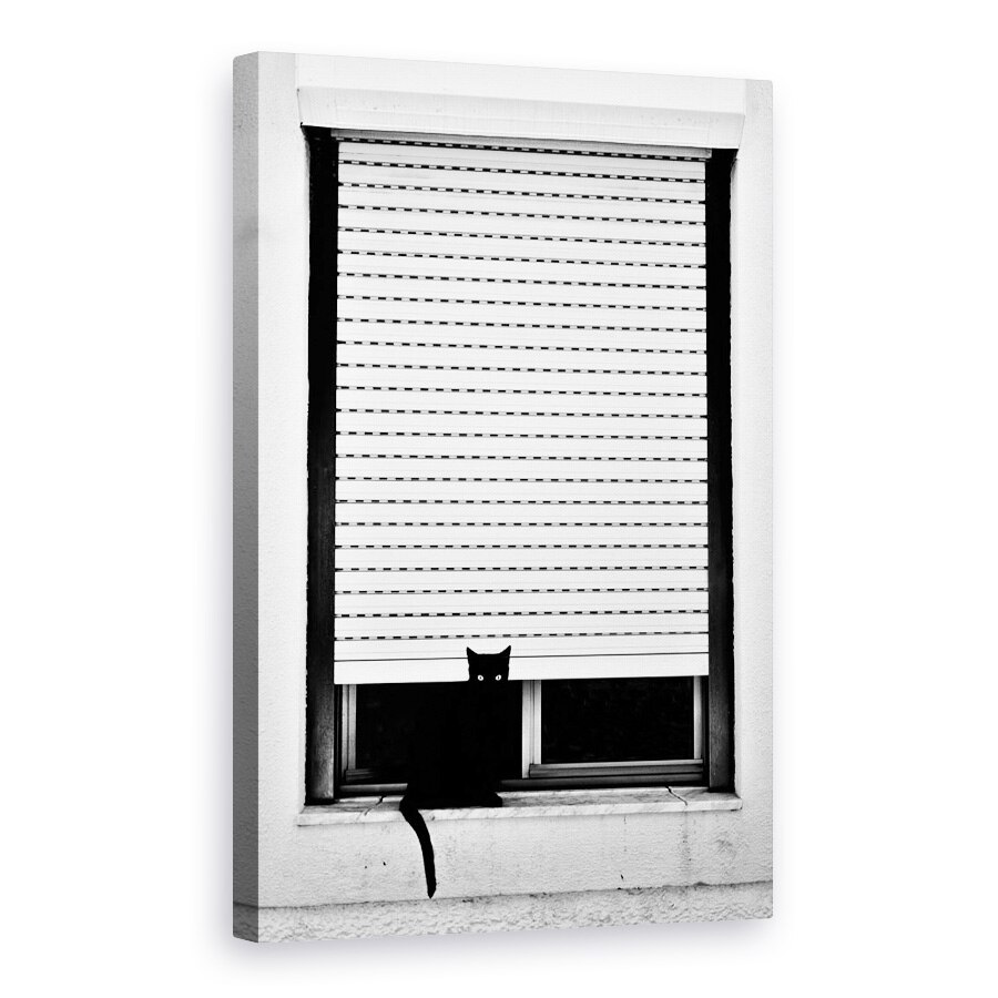 Tablou canvas - Strada, Pisica, Strada, Fereastra, Blins, Orb, 60 x 90 cm