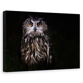 Tablou canvas - Printul Noptii, Pasare, Bufnita, Noapte, Ochi, Animal, 40 x 60 cm Tablou canvas - Printul Noptii, Pasare, Bufnita, Noapte, Ochi, Animal, 40 x 60 cm