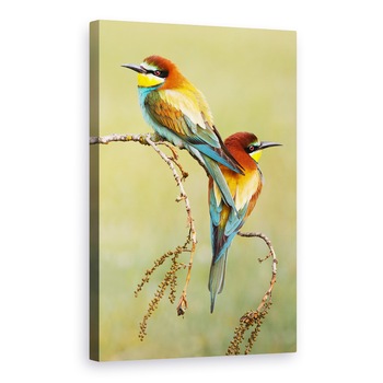 Tablou canvas - Mancatorii De Albine Indragostiti, Pasari, Crenguta, Ramura, 20 x 30 cm Tablou canvas - Mancatorii De Albine Indragostiti, Pasari, Crenguta, Ramura, 20 x 30 cm