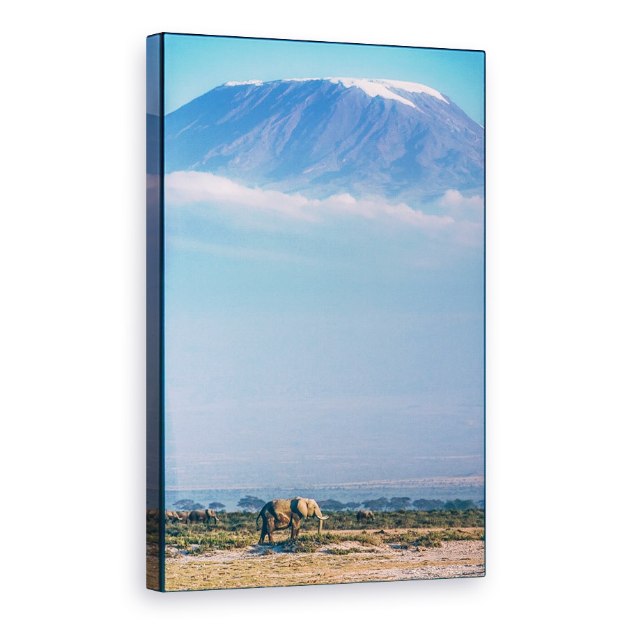 Tablou canvas - Kilimanjaro Si Santinelele Linistite, Elefant, Animale, Salbatic, 20 x 30 cm