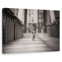 tablou canvas - poti merge pe drumul tau caini peisaj urban hamburg pod caine 60 x 90 cm imagen 14_0_
0