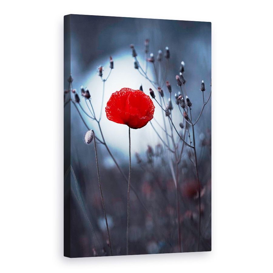 Tablou canvas - Floare Nu De Kenzo De Mine, Maci, Rosu, 20 x 30 cm