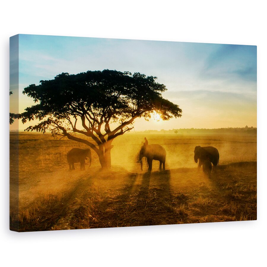 Tablou canvas - Orasul Matinal Al Elefantilor, Trio, Grup, Soare, 20 x 30 cm