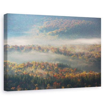 Tablou canvas - Dimineata Cetoasa, Toamna, Dimineata, Ceata, Ceata, Ceata, 20 x 30 cm Tablou canvas - Dimineata Cetoasa, Toamna, Dimineata, Ceata, Ceata, Ceata, 20 x 30 cm